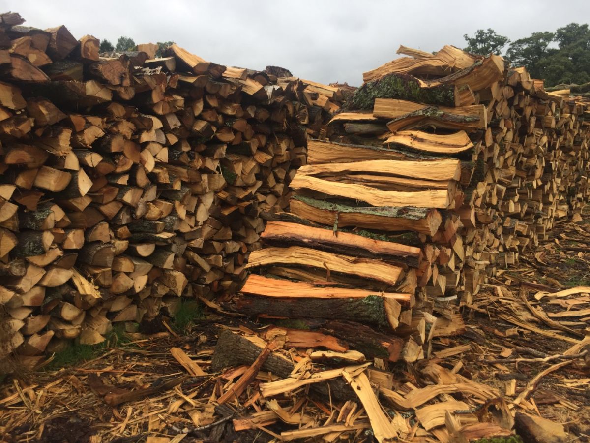 3eef45863c26fd72.jpg?size=9&date=1593518820