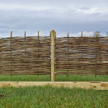 Full Hazel Hurdle - www.brandonthatchers.co.uk Full Hazel 2020.jpg