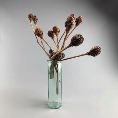 Platyspernum Brown, x 5 stems, approx. 40 cm Long with 3 fruit per stem, natural, dried floral deco