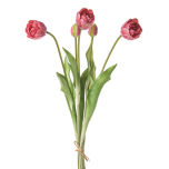 Prestige-Tulip-Bundle-Pnk-45cm.jpg Prestige-Tulip-Bundle-Pnk-45cm.jpg