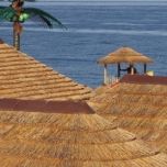 Thatch tiles - www.BrandonThathers.co.uk