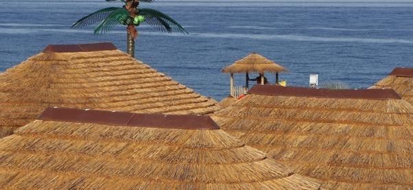 Thatch tiles - www.BrandonThathers.co.uk