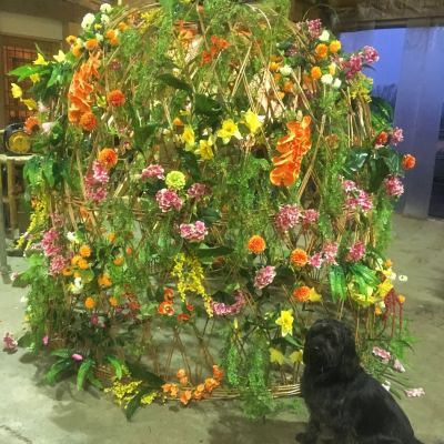 Floral Deco Supply & Installation