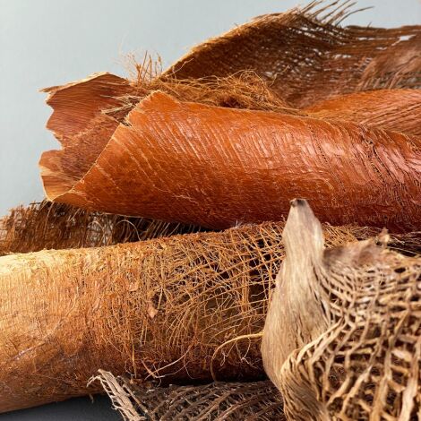 Palm Husk x 10, rolled into a bundle approx. 40cm long by 20 cm diameter, natural dried floral deco