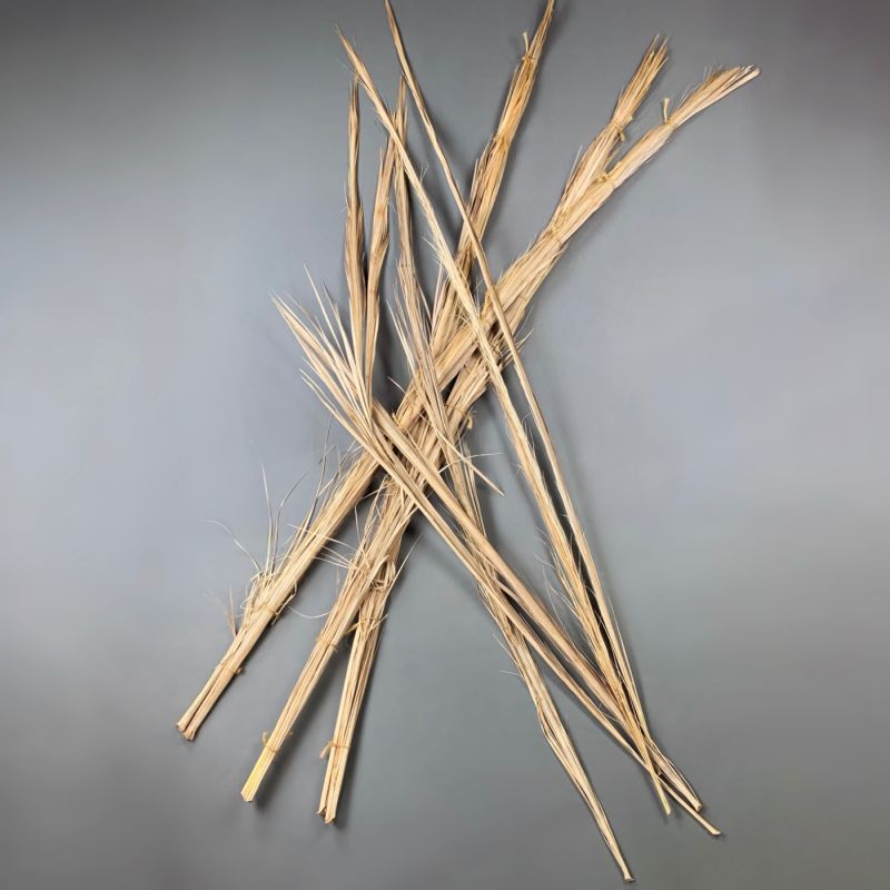 Palm Frond, approx. 3.3 m tall. Natural, dried material