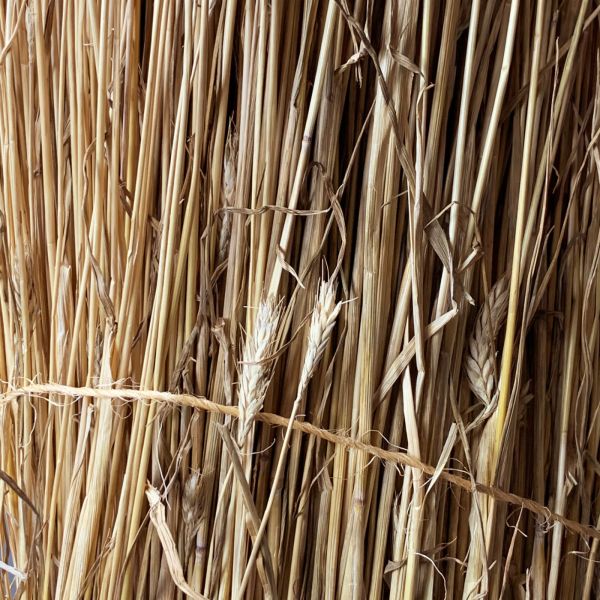 Straw Bundle, approx. 1.2 m tall by 40 cm diameter.