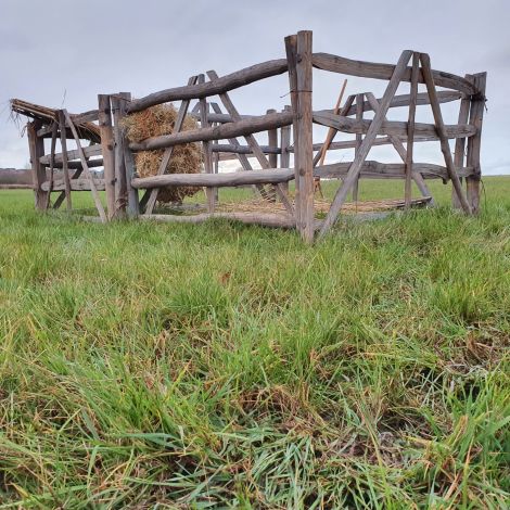 Animal Pen - www.BrandonThatchers.co.uk Double Animal Pen - x7 Chestnut Sheep Hurdles, Hay Net, Wooden Trough, Wooden Hay Fork, Thatched Shelter, Loose Straw (3 Sets Available) - RENTAL ONLY