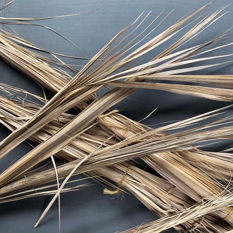 Palm Frond, approx. 3.3 m tall. Natural, dried material