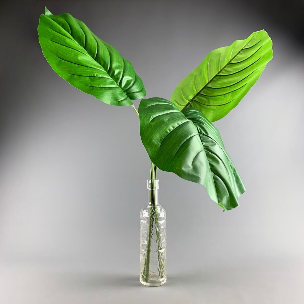 Alocasia Leaf - www.BrandonThathers.co.uk IMG_6275.jpg