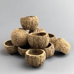 Coconut Shell - www.BrandonThathers.co.uk IMG_3130.jpg