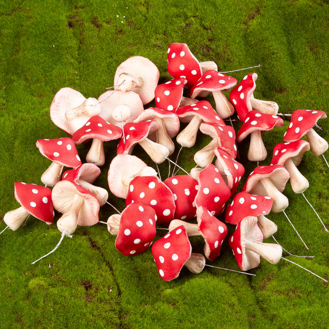 Faux Fungi- www.BrandonThathers.co.uk 25015-BrandonThatcher-web-size-29-7-20-483.jpg