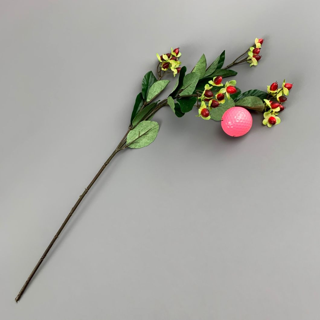 Hypericum Red - www.BrandonThathers.co.uk IMG_1113.jpg