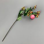 Hypericum Red - www.BrandonThathers.co.uk IMG_1113.jpg