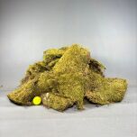 FLAT MOSS 2KG BALL.jpg