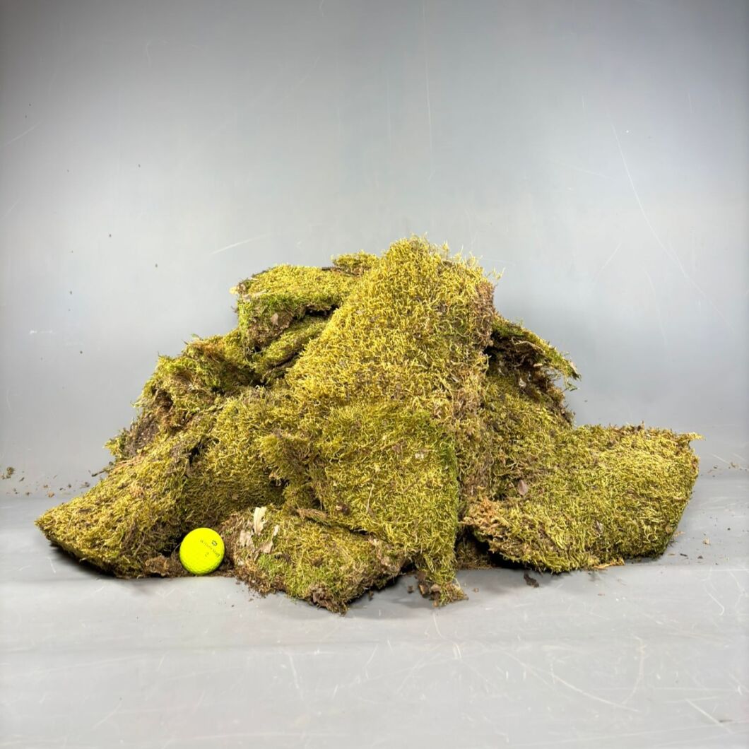 FLAT MOSS 2KG BALL.jpg