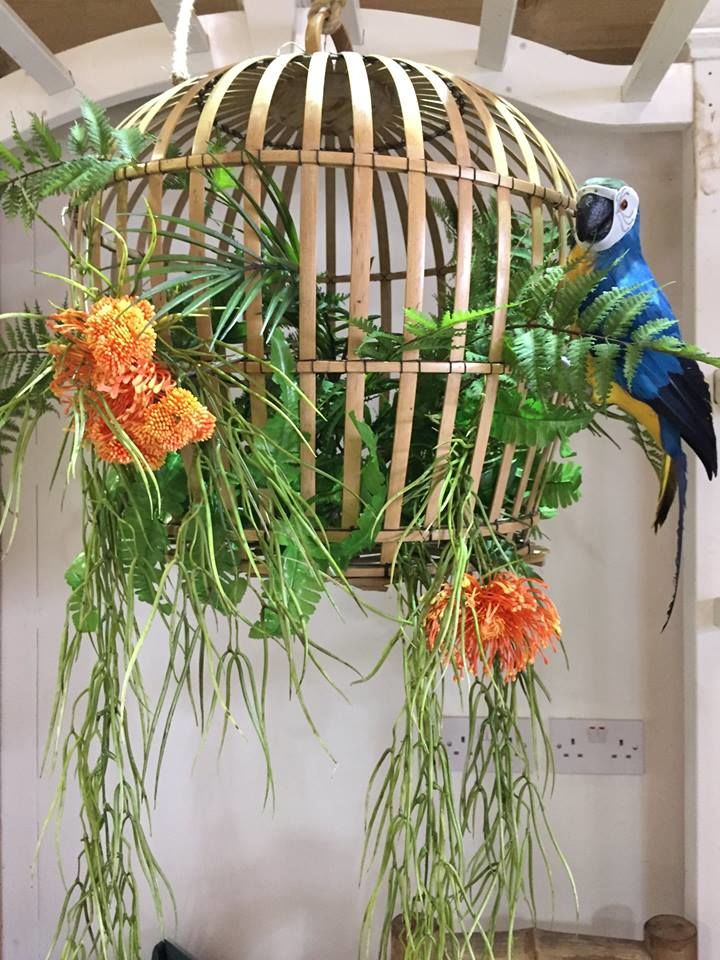 parrot.jpg