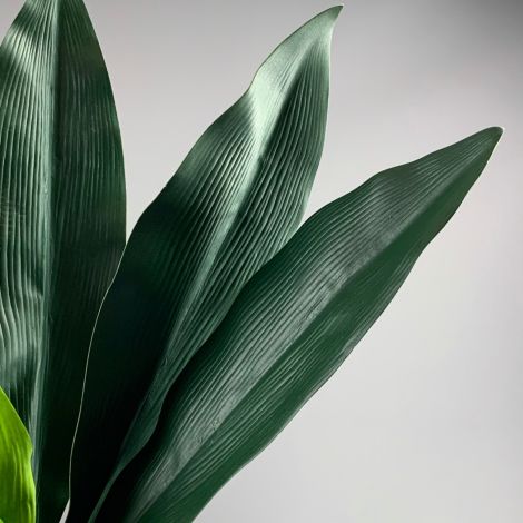 Aspidistra Leaf 80cm artificial leaf on poseable wire stem