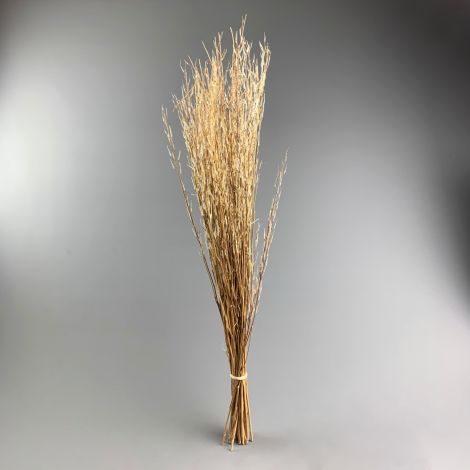 Sarass Grass, 1 m long by 15 cm wide bunch of natural dried floral decoration