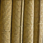 Bamboo - www.BrandonThatchers.co.uk