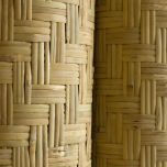 Bamboo - www.BrandonThatchers.co.uk Bamboo - www.BrandonThatchers.co.uk