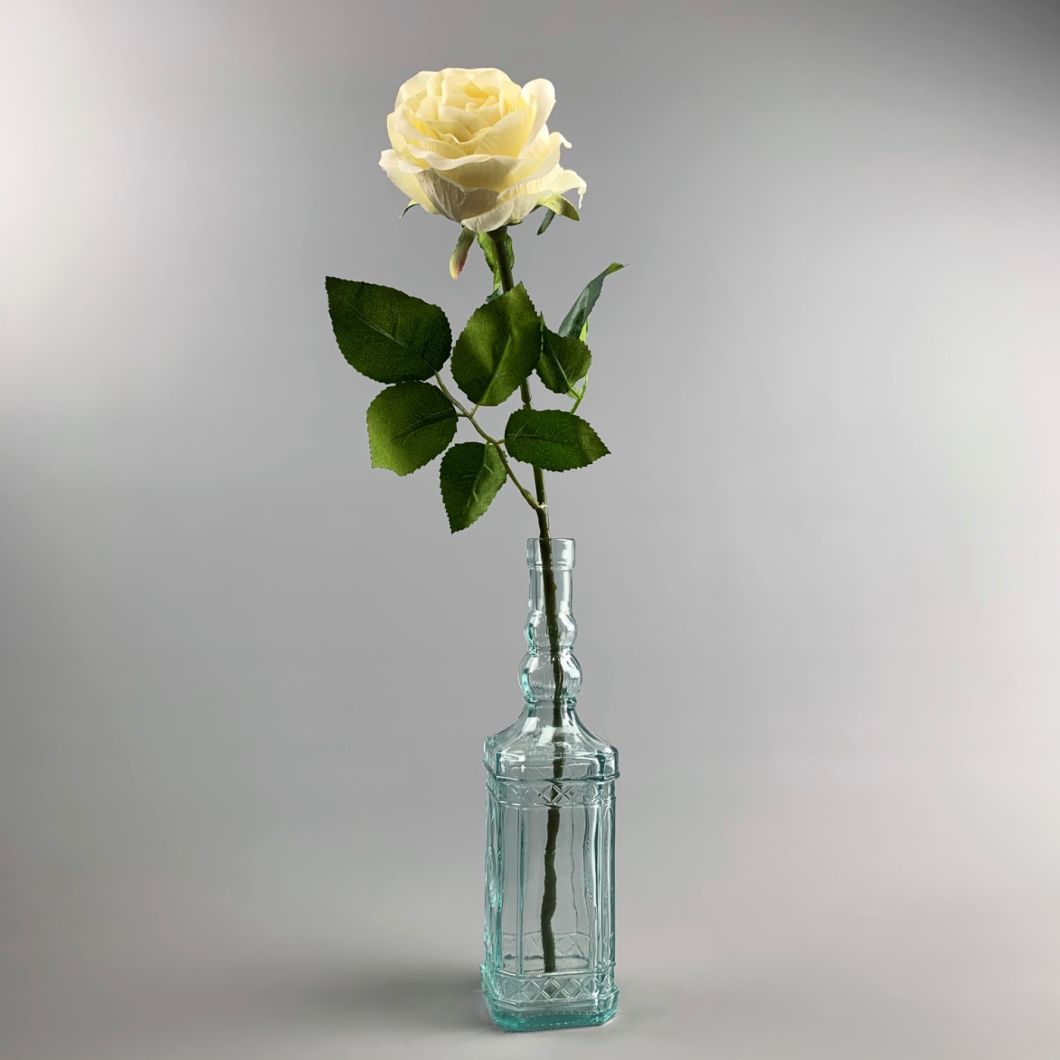 Cream Rose IMG_0761.jpg