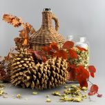 Pine Cone Giant - www.BrandonThathers.co.uk IMG_4060.jpg