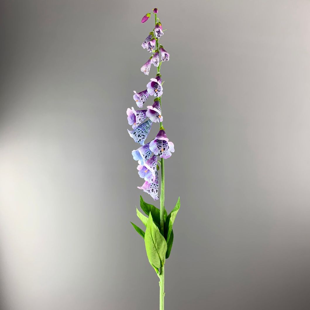 Foxglove, Purple, 107 cm - www.BrandonThatchers.co.uk Foxglove, Purple, 107 cm - www.BrandonThatchers.co.uk