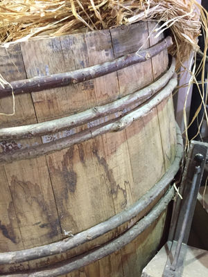Barrels-Hazel-bands-1-300-300.jpg Barrels-Hazel-bands-1-300-300.jpg