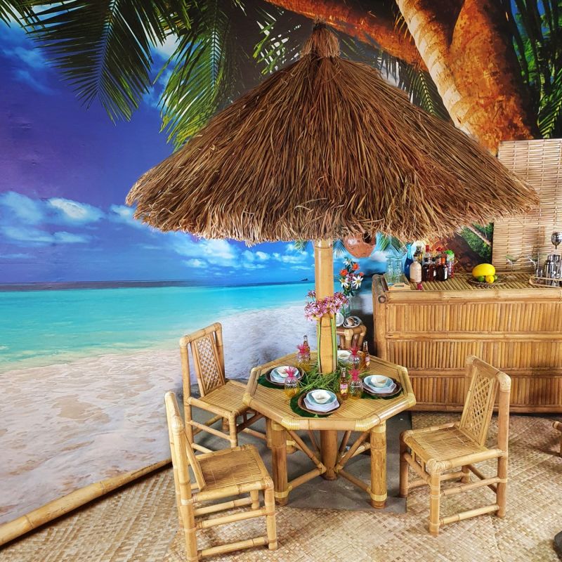 Beach Bar Bamboo Bar, Thatched Table, Chairs, Stools and Parasols