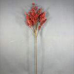 BLOOMRED3.jpg
