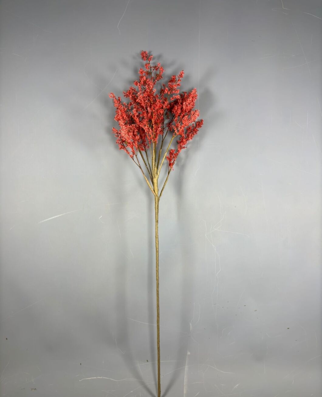 BLOOMRED3.jpg