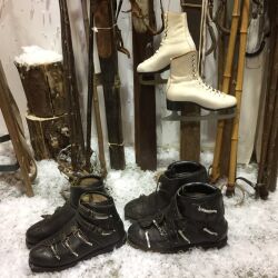 Snowy Alpine and Adventure