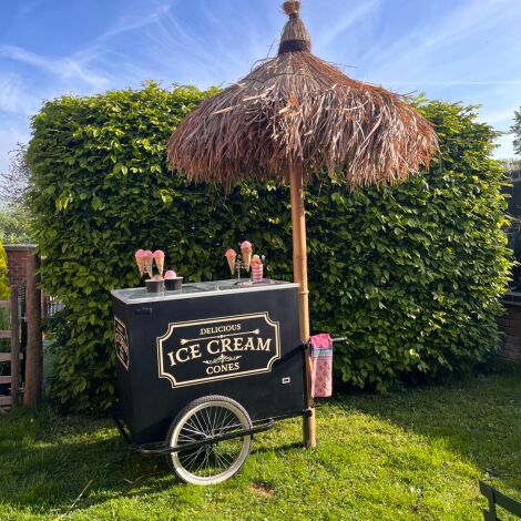 Ice Cream Vendors Carts and Parasols x 2 - RENTAL ONLY