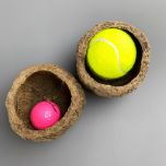 Coconut Shell - www.BrandonThathers.co.uk IMG_3167.jpg