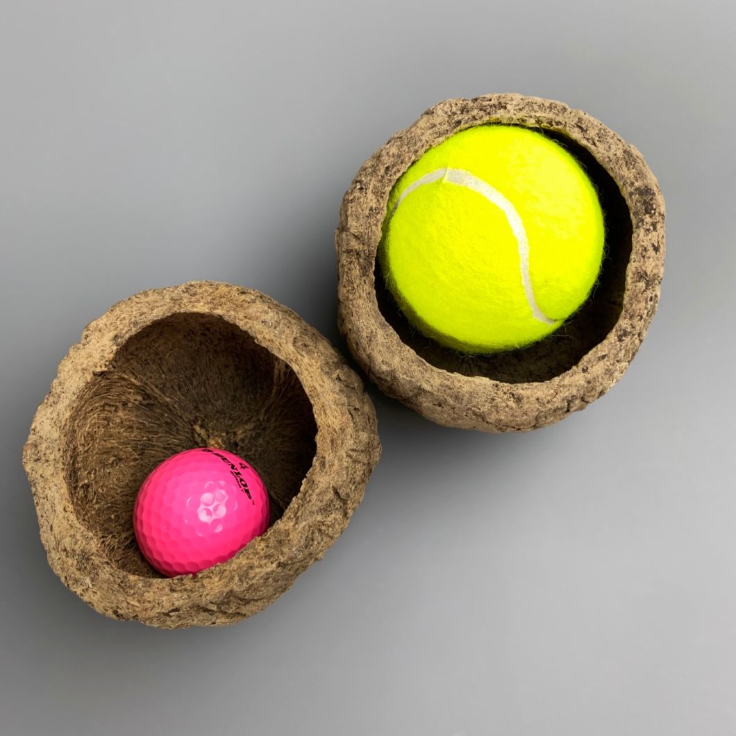 Coconut Shell - www.BrandonThathers.co.uk IMG_3167.jpg