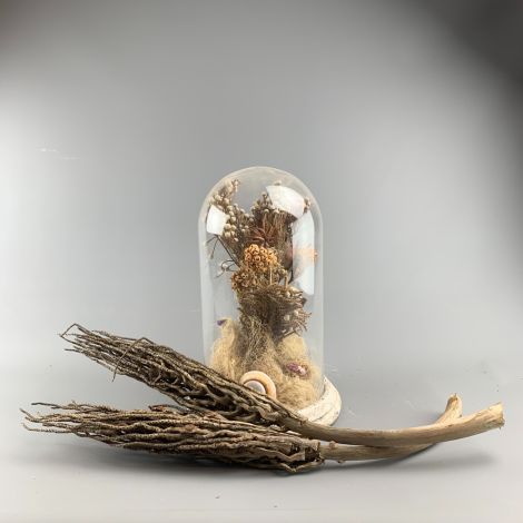 Botay - www.BrandonThathers.co.uk Botay Stick, approx. 70 cm long with 15 cm spread, natural, dried floral deco