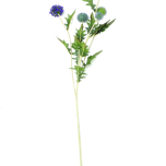 Globe Thistle, Purple, 92cm - www.BrandonThatchers.co.uk Globe Thistle, Purple, 92cm - www.BrandonThatchers.co.uk