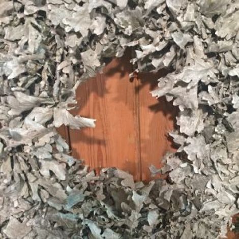 Wreath - Frosted Oak Leaf END OF LINE, WHEN ITS GONE ITS GONE