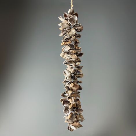 Land Lotus Garland, Natural Dried Deco approx 75cm long