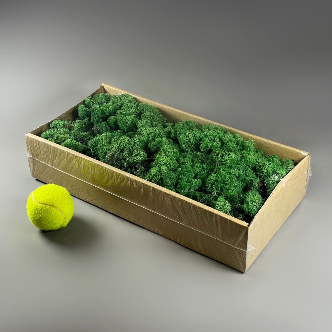 Curly Moss 5.jpg