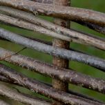 Full Hazel Hurdle - www.brandonthatchers.co.uk BRANDON THATCHER-4-92.jpg