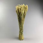 Wheat, approx. 66 cm - www.BrandonThatchers.co.uk