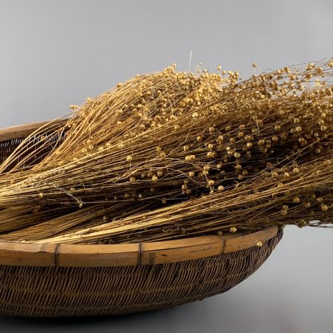 Bobble Grass Bunch, approx. 70 cm long by 20 cm Wide. Natural Dried Floral Deco