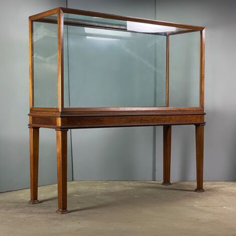 Showcase Cabinet - RENTAL ONLY