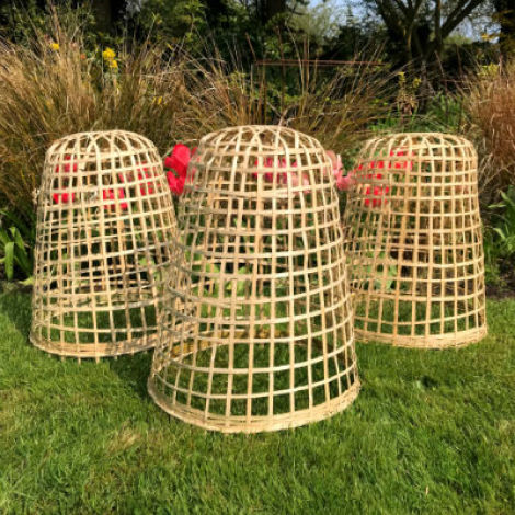 Bamboo Cloche, approx. 40, 50 or 60 cm high. Natural hand woven
