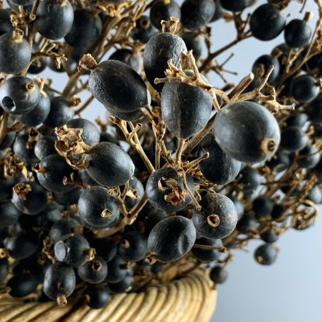Noir Berries x 5 approx. 70 cm long with 12 + berries 1.5 cm diameter. Natural Dried Floral Deco