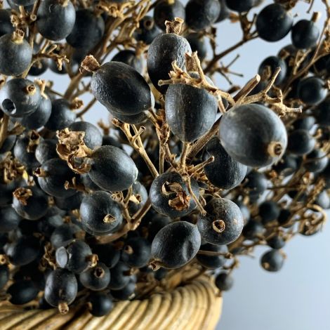 Noir Berries x 10 approx. 70 cm long with 12 + berries 1.5 cm diameter. Natural Dried Floral Deco