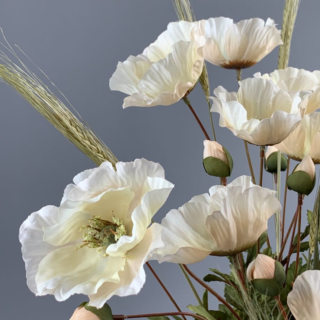 Poppy Cream - www.BrandonThathers.co.uk IMG_0991.jpeg