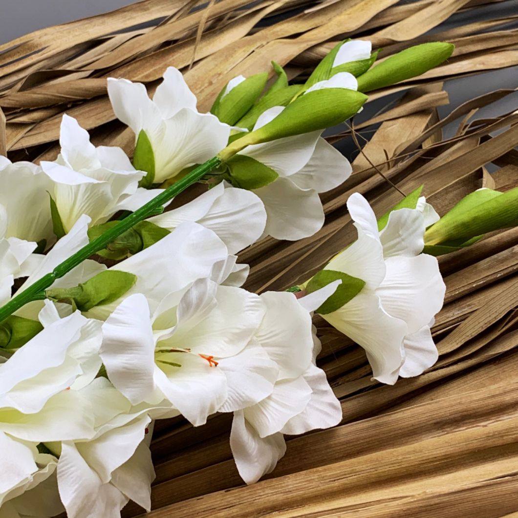 Gladiola, Cream 96 cm - www.BrandonThatchers.co.uk IMG_1044.jpg
