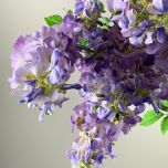 IMG_6660.jpeg